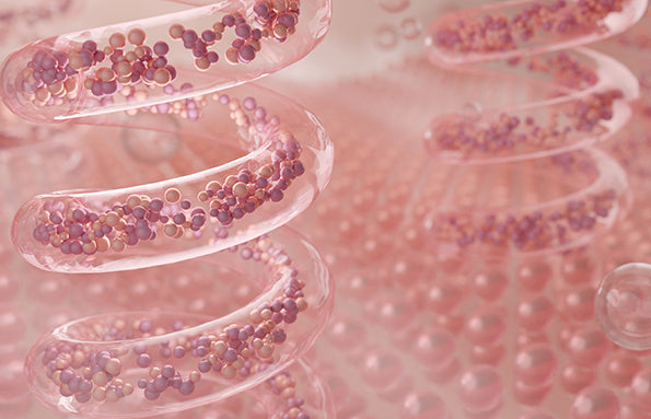 Tutto sull’elastina, proprietà e benefici