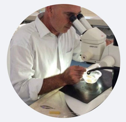 Screenshot 2023-06-17 alle 11.41.26.jpg__PID:3a2763a4-7ddc-404b-b2d8-c63b113b3f01